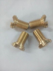 加工铜螺栓图片,加工铜螺栓高清图片 深圳炜达五金制品厂,